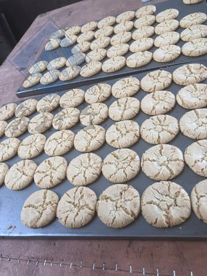 산업용 쿠키 크래커 처리 기계