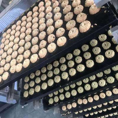 다양한 생산 용량으로 완전 자동 부드러운 아가씨 비스킷 제조 기계