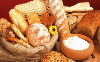 32 트레이 로터리 가스 산업 베이킹 전기 쿠키 케이크 빵을 위한 자동 오븐