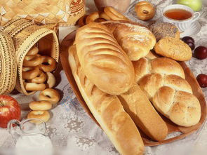 베이커리 32 로터리 가스 산업 전기 쿠키 케이크 빵 베이킹 오븐 완전 자동