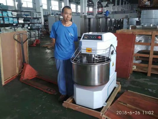 100kg 출력 용량 산업용 반죽 혼합기 이중 이동 이중 속도 조작 용이함